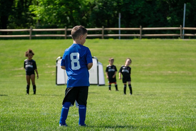 但与预期目 但与预期目