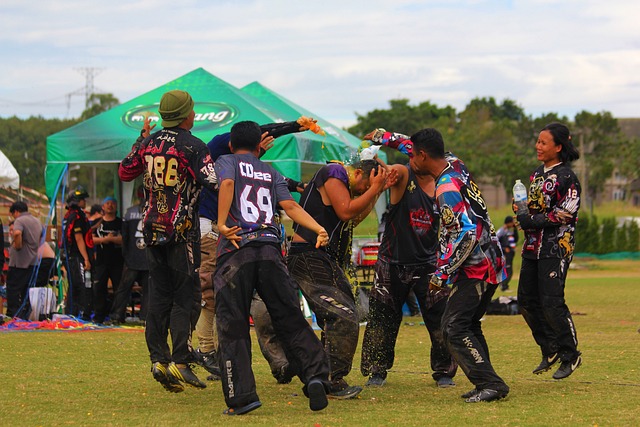 与实施提供 与实施提供