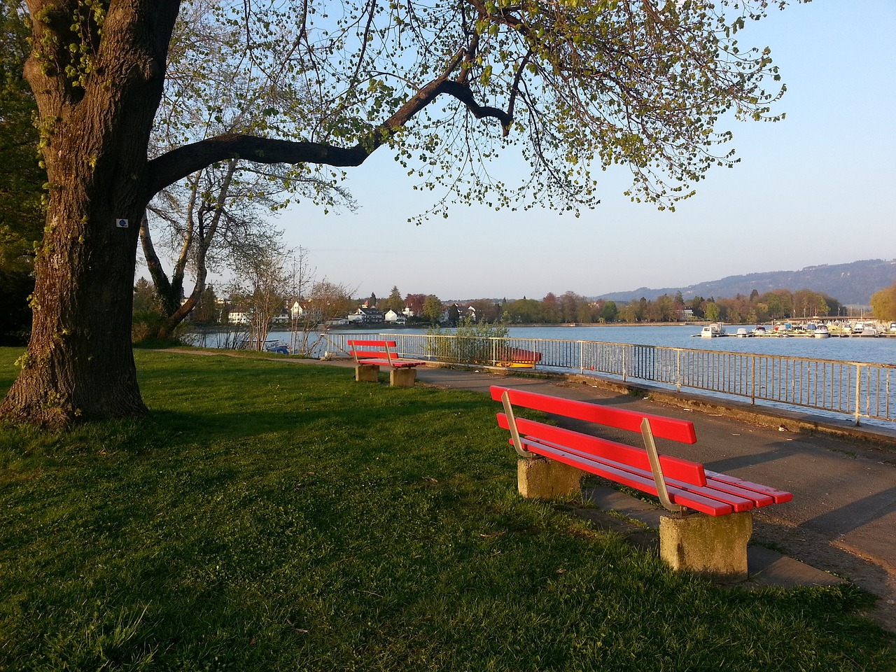博格巴过去 博格巴过去