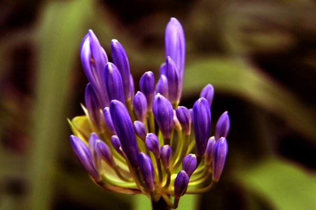 另一方面也 另一方面也