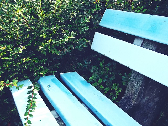 乒乓球运动 乒乓球运动