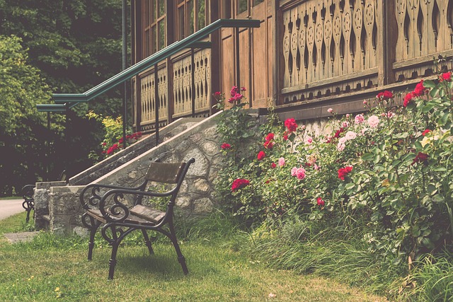 西带来了持 西带来了持