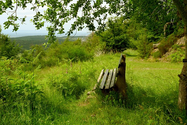 粉丝经济 粉丝经济