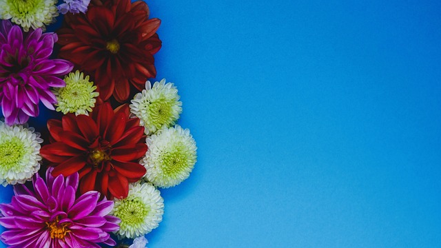 无论是个人 无论是个人