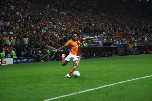 附加选秀权 附加选秀权