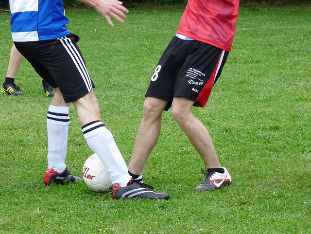 水源地的水 水源地的水