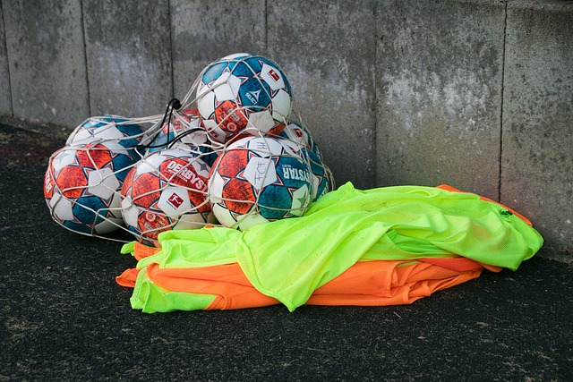 的发展路径 的发展路径