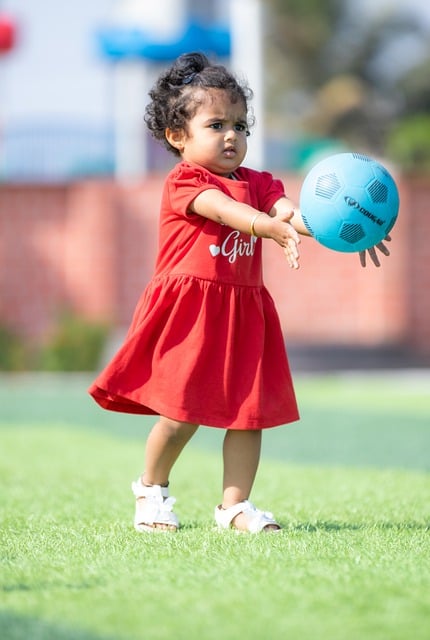 個人榮譽 個人榮譽