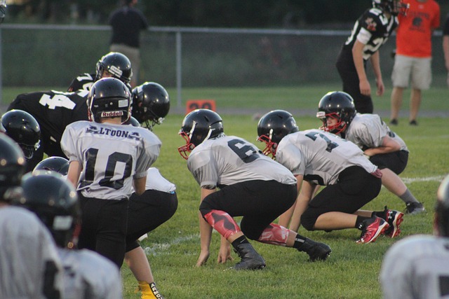 为学生提供 为学生提供