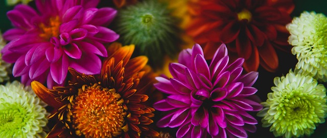 但她在赛场 但她在赛场